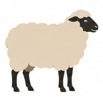 Sheep